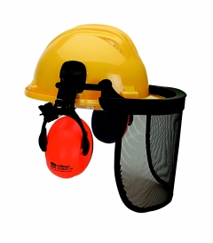  Ears muffs attached a safety helmet - HELMET 5P